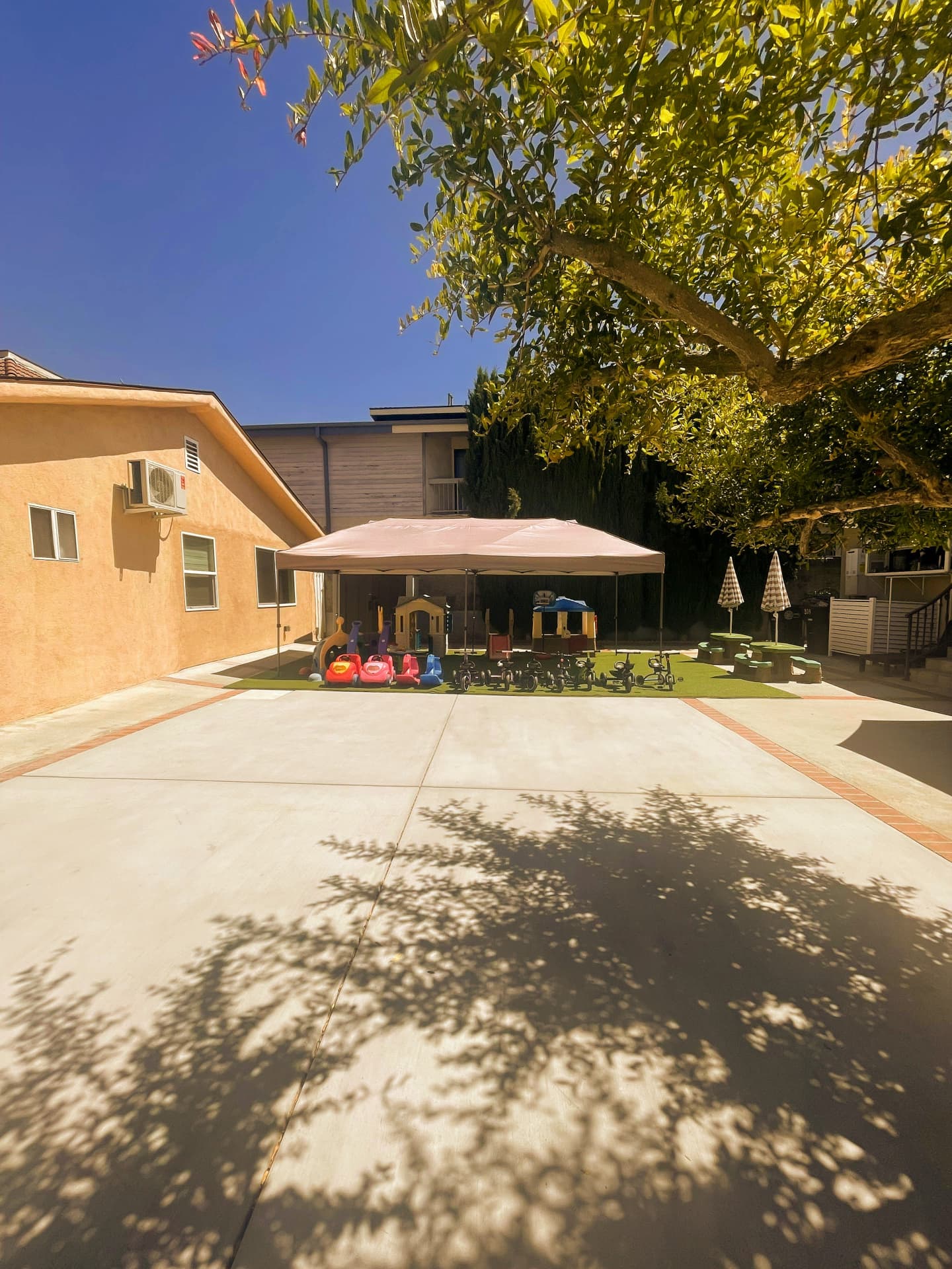 Sunny backyard with a shaded canopy, ride-on cars, and trikes under a large tree