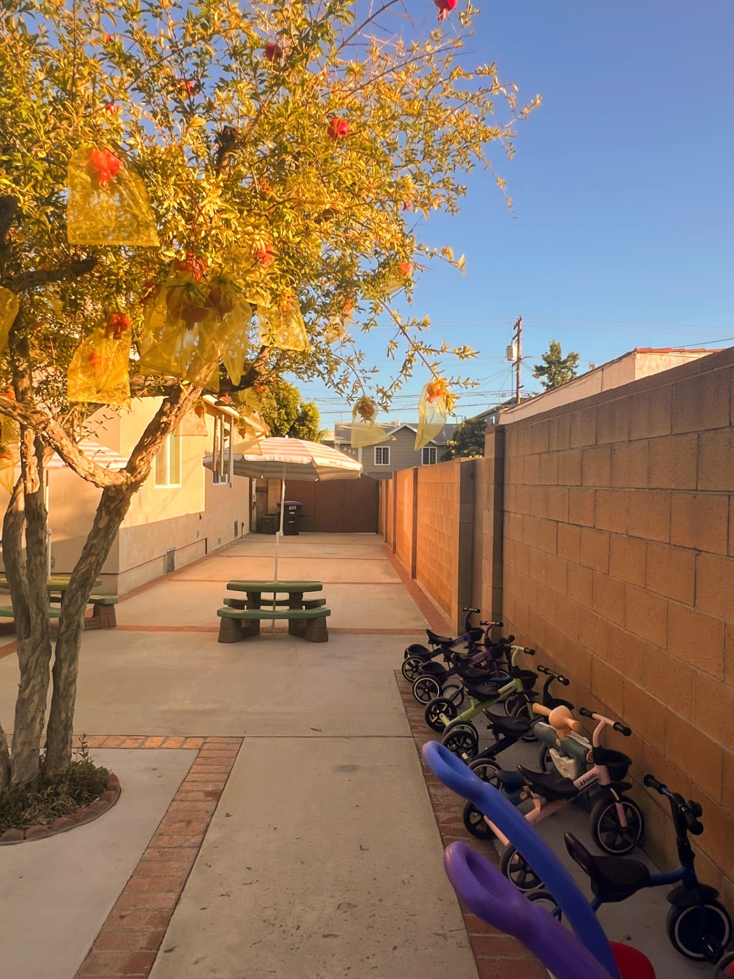 Open backyard walkway with a pomegranate tree and children's ride-on toys