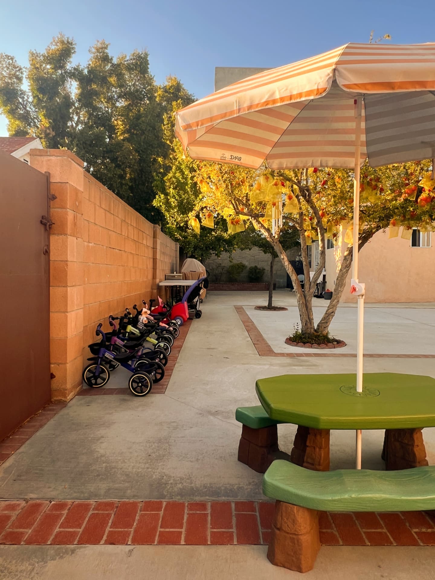 Backyard patio with a row of trikes and strollers beside a pomegranate tree